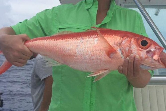 Half day Deep sea/light tackle fishing charters - Four private hours on the water near Nassau