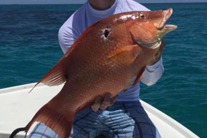 Half day Deep sea/light tackle fishing charters - How weather can shape the experience