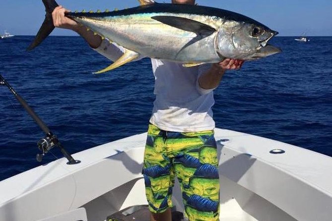 Half day Deep sea/light tackle fishing charters - Choosing between trolling, deep dropping, and light tackle