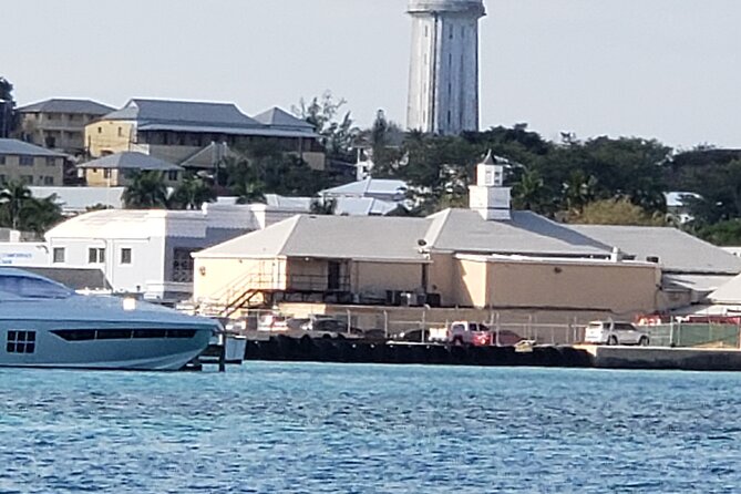 Half-Day Guided Boat Tour of Nassau Harbour and Rose Island - Meeting the Rose Island swimming pigs