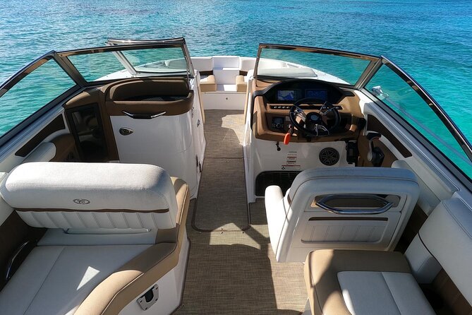 Half-Day Luxury Private Rose Island Pigs and Turtles Excursion - A private start from Bayshore Marina