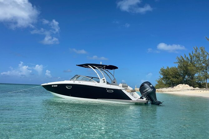 Half-Day Luxury Private Rose Island Pigs and Turtles Excursion - Rose Island: beach time with room to choose