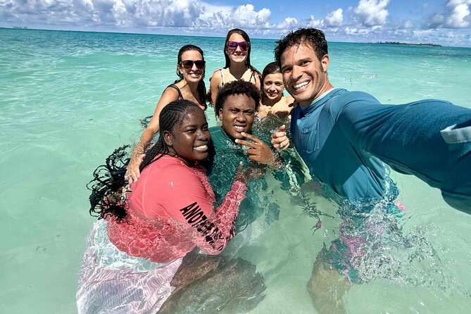 Half Day Pigs Turtles Reef and Ship Wreck Snorkeling - From Montagu Beach to the open water