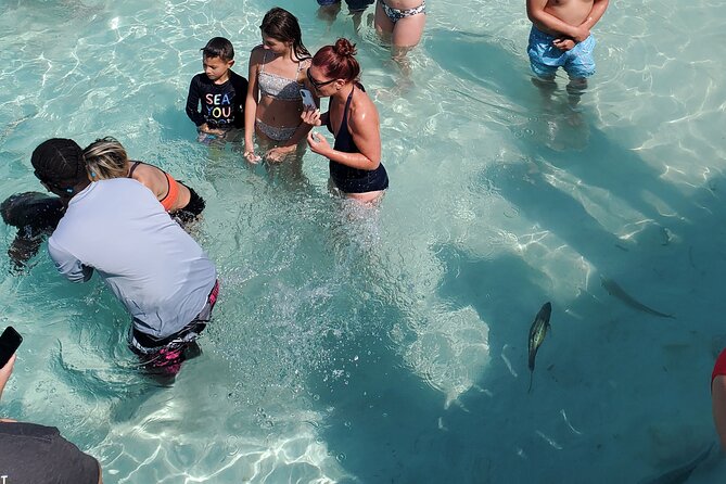 HALF DAY Swiming Pigs and Sharks Tour (Nassau to Exuma by Plane) - Flying from Nassau to Staniel Cay