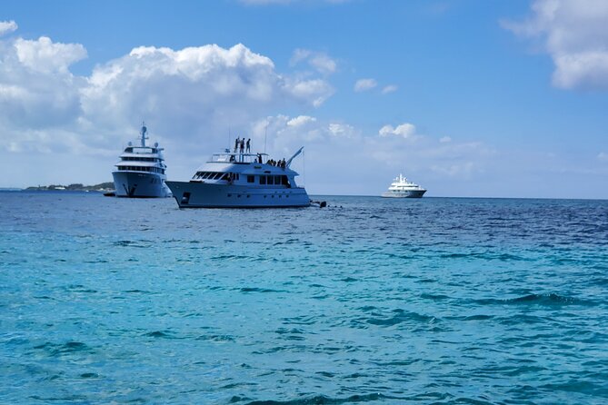 HALF DAY Swiming Pigs and Sharks Tour (Nassau to Exuma by Plane) - What the $4,000 group price really means