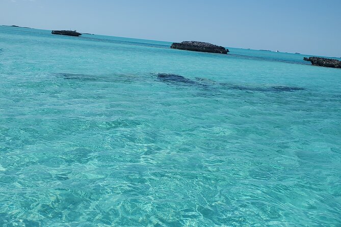 HALF DAY Swiming Pigs and Sharks Tour (Nassau to Exuma by Plane) - Who will enjoy this Exuma day most