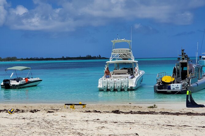 HALF DAY Swiming Pigs and Sharks Tour (Nassau to Exuma by Plane) - Should you book it?