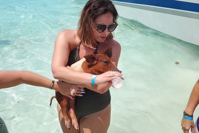 HALF DAY Swiming Pigs and Sharks Tour (Nassau to Exuma by Plane) - Pig Beach and the Exuma animals