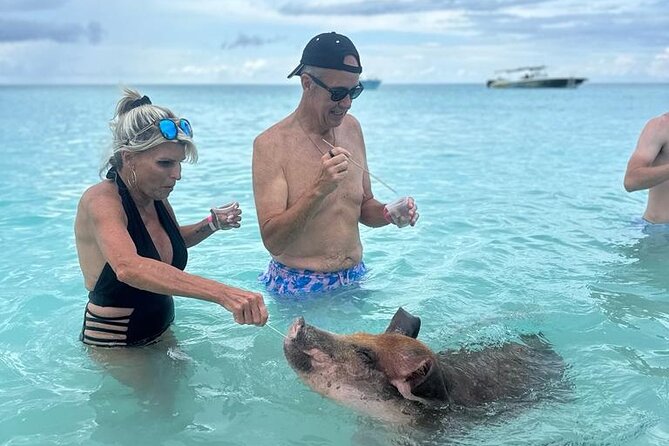 Half Day Swimming Pigs on Rose Island, Snorkeling and Lunch - An hour at Footprints beach bar