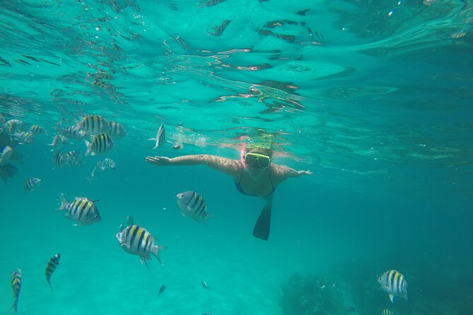 Half Day Swimming Pigs on Rose Island, Snorkeling and Lunch - Who will enjoy this boat trip most