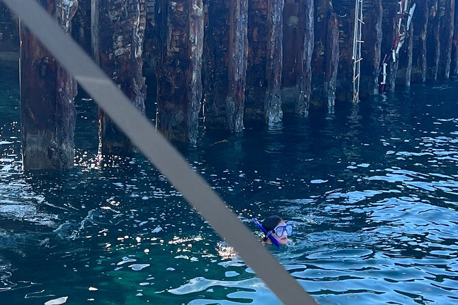 Honeymoon Harbour and The Sapona Day Trip - Weather, timing, and the practical side of the outing