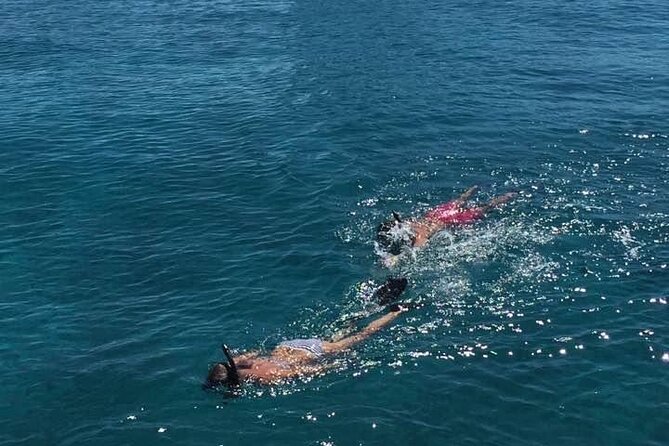 Honeymoon Harbour and The Sapona Day Trip - Who will enjoy this Bimini excursion most?