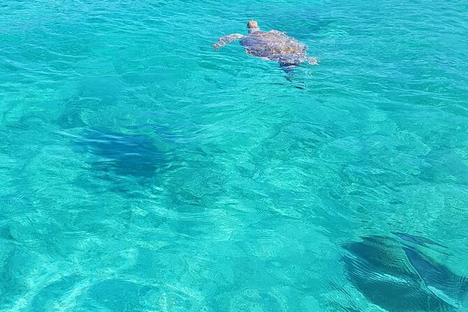 Honor Roll Private Bahamas Boat Charter - A Private Boat Day Instead of a Fixed Excursion
