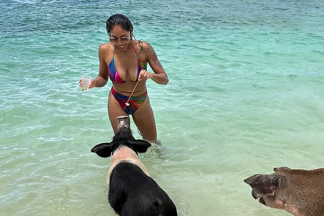 Luxury Catamaran Cruise: Sip, Sail, Snorkel, and Swim with Pigs! - What makes this cruise worth considering