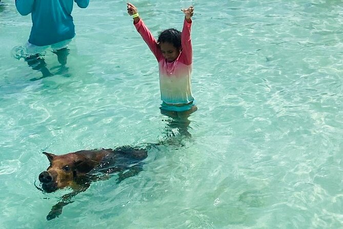 Luxury Catamaran Cruise: Sip, Sail, Snorkel, and Swim with Pigs! - Leaving Paradise Island on the Tropical Breeze