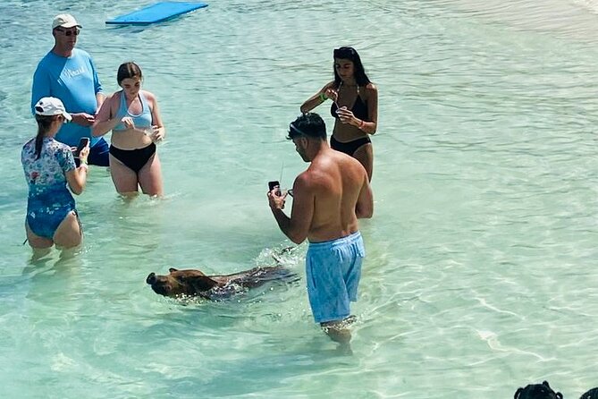Luxury Catamaran Cruise: Sip, Sail, Snorkel, and Swim with Pigs! - Passing Sandy Cay, the original Gilligan’s Island