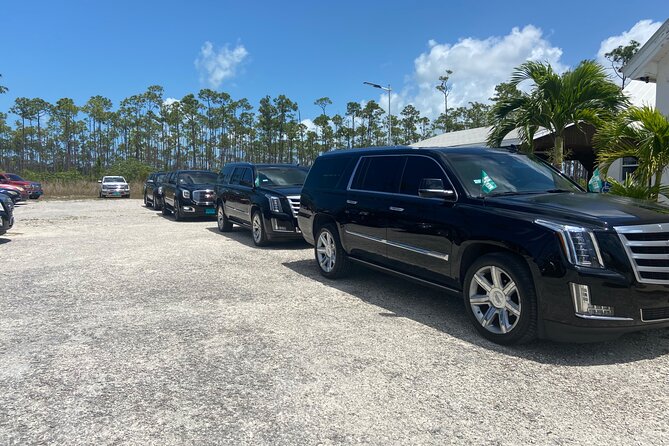 Luxury SUV Transfer from Airport, cruise port, Celebration Key - The drivers can add useful local color