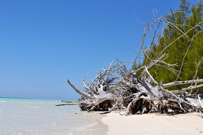 Mamma Gal Celeb-Key Native Exp. Shared Tour - Nearby settlements and island scenery
