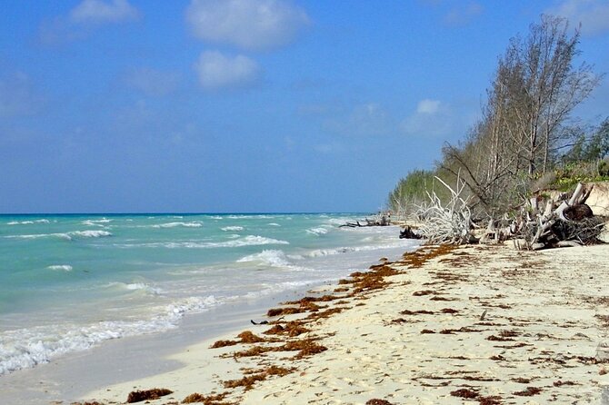 Mamma Gal Celeb-Key Native Exp. Shared Tour - Is $80 a fair price?