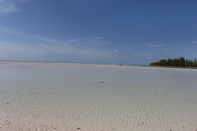 Mamma Gal East End Native Experience - Lucayan National Park: caves, mangroves, and open shore
