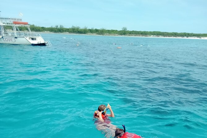 Nas: 3 islands Tour ,snorkel, Turtles, pigs and lunch - Green Turtle Cay and the snorkeling hour