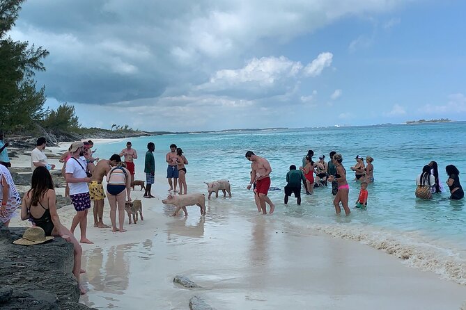 Nas: 3 islands Tour ,snorkel, Turtles, pigs and lunch - What the $150 price really buys