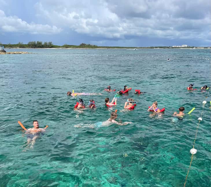 Nassau: 3 Islands Boat w/ Swimming Pigs, Snorkeling & Turtle - Rose Island, the pigs, and beach-bar time