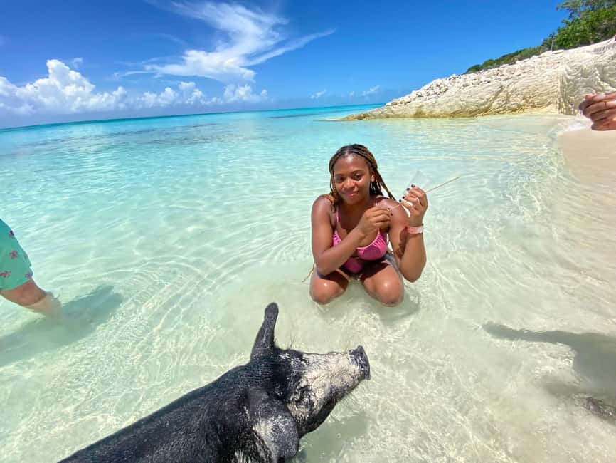 Nassau: 3 Islands Tour, Snorkel, Pig Beach, Turtles & Lunch - A four-hour sampler of the Nassau islands