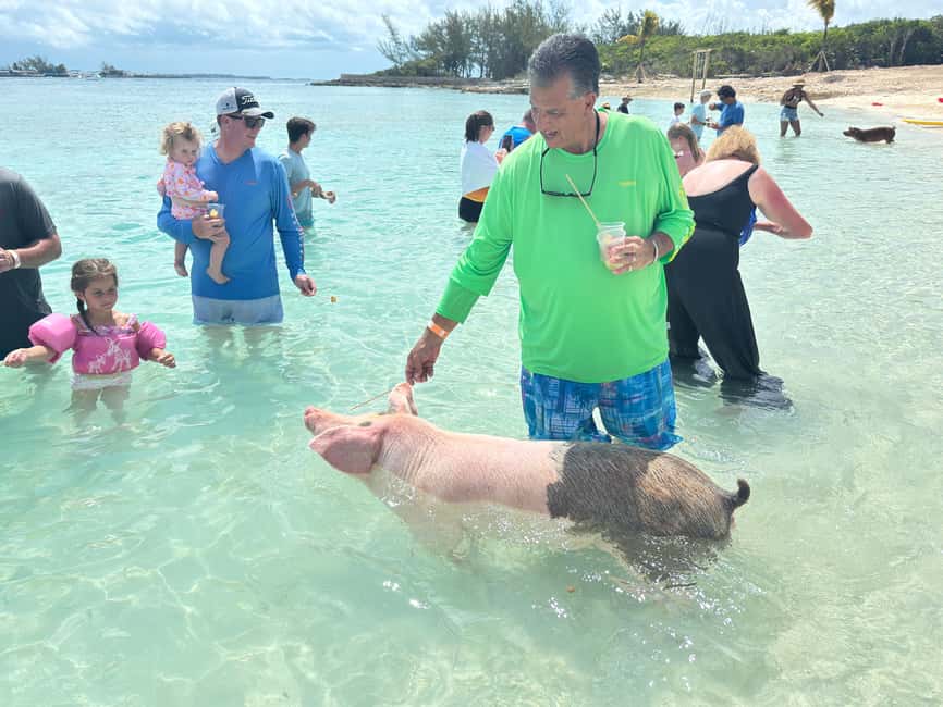 Nassau: 4-Island Tour Swimming Pigs, turtles, snorkeling - Key points to know before booking
