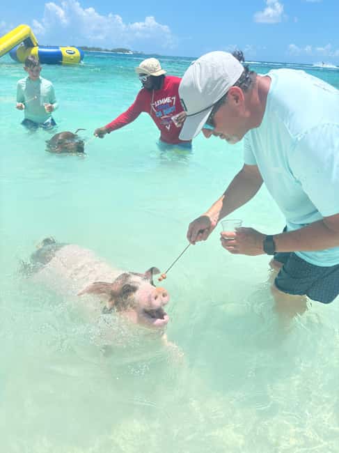 Nassau: 4-Island Tour Swimming Pigs, turtles, snorkeling - Athol Island and the famous swimming pigs