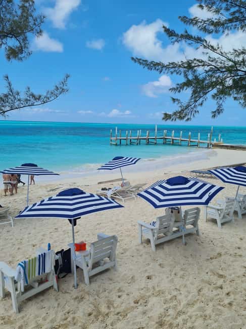 Nassau ATV & Swimming Pigs Tour - Arawak Cay, conch salad, and the western waterfront