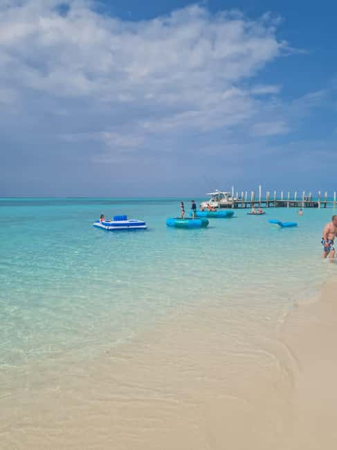 Nassau ATV & Swimming Pigs Tour - Swimming pigs, turtles, and the weather question