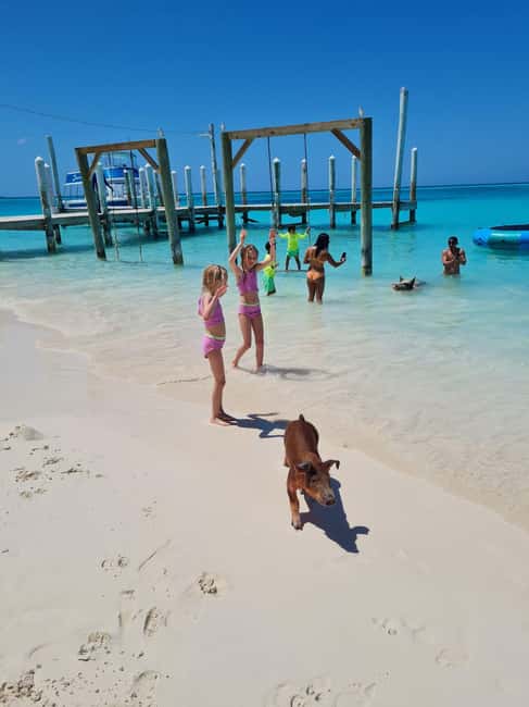 Nassau ATV & Swimming Pigs Tour - Who should book the $280 experience