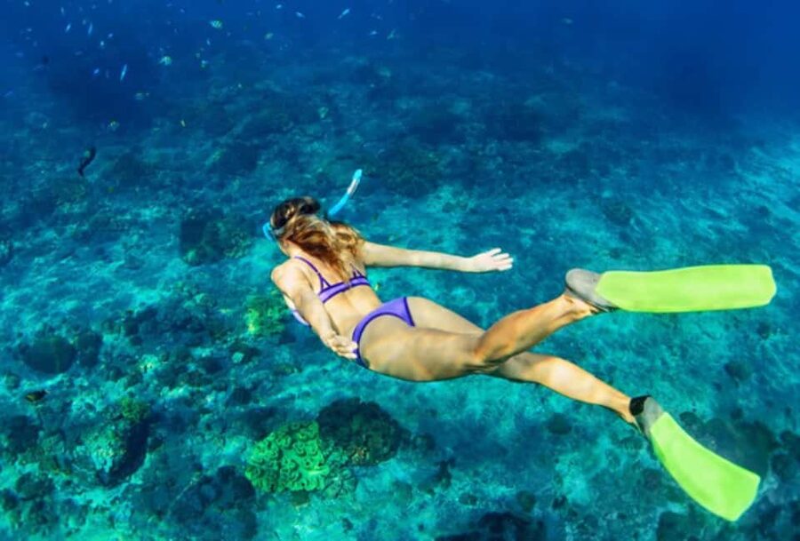 Nassau: Catamaran Sail and Snorkel Tour - From Paradise Island to the open water
