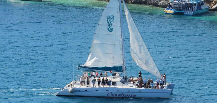 Nassau: Catamaran Sail and Snorkel Tour - What the one-hour snorkeling stop feels like