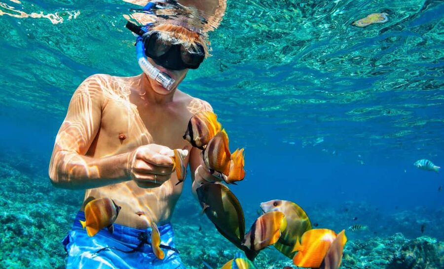 Nassau: Catamaran Sail and Snorkel Tour - Is $103 a fair price?
