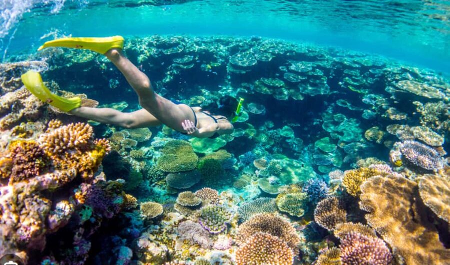 Nassau: Catamaran Sail and Snorkel Tour - Who will enjoy this Nassau tour?