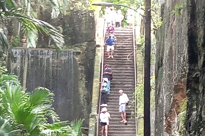 Nassau City Tour - Key points to know before booking