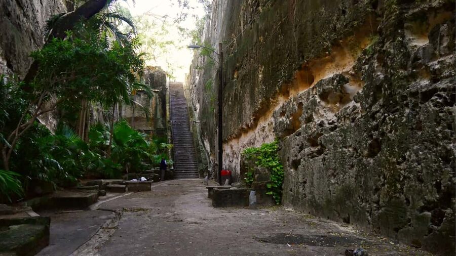 Nassau City Tour: Discover the Charms of Old Charles Town - Timing, Price, and Overall Value