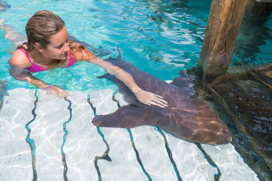 Nassau: Discover Exuma Island Hopping and Swimming Pigs Tour - Five Exuma stops packed into one day