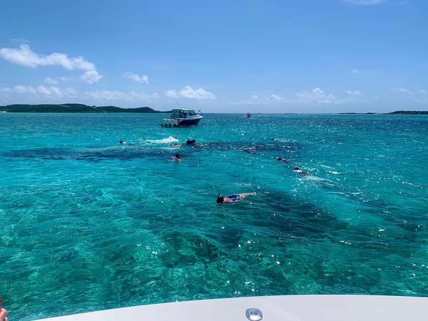 Nassau: Discover Exuma Island Hopping and Swimming Pigs Tour - Big Major’s Cay and the famous swimming pigs