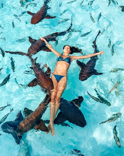 Nassau: Discover Exuma Island Hopping and Swimming Pigs Tour - A local lunch after the morning stops