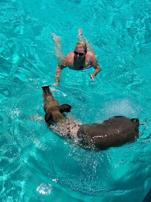 Nassau: Discover Exuma Island Hopping and Swimming Pigs Tour - Ending on a beach or sandbar