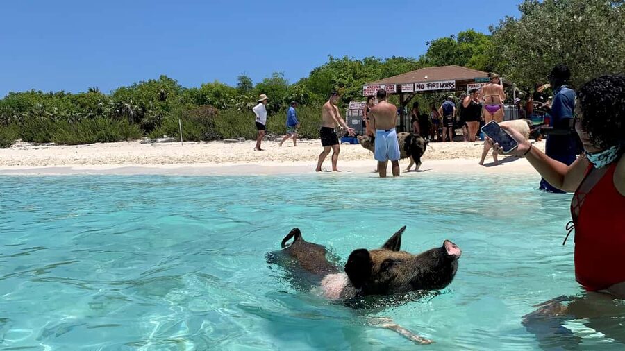 Nassau: Discover Exuma Island Hopping and Swimming Pigs Tour - Timing, meeting point, and practical preparation
