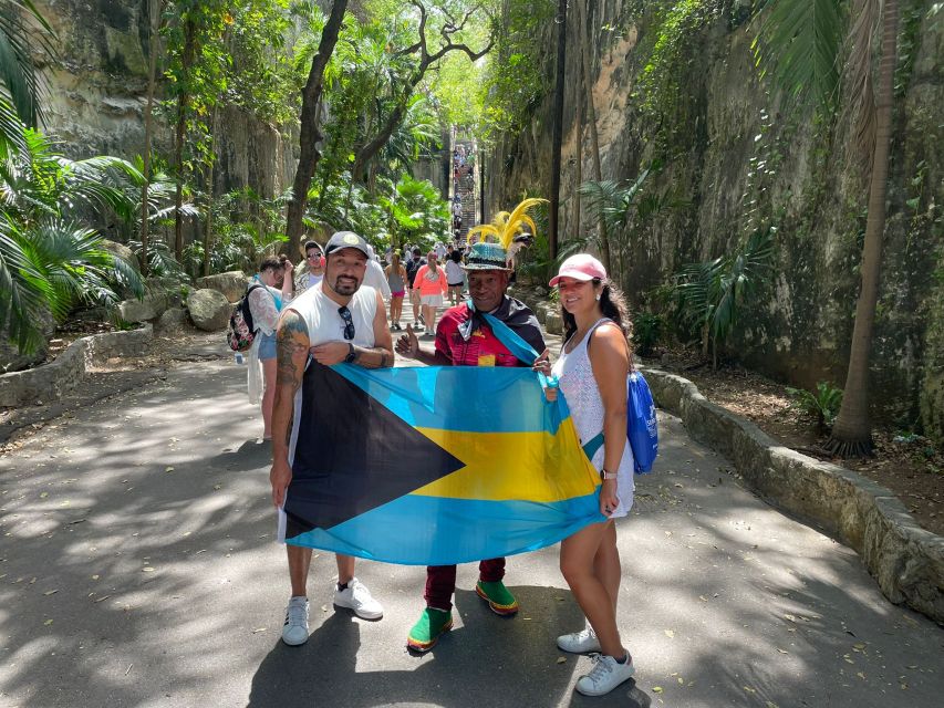 Nassau: E-Scooter Tour with Food Tasting and Local Drinks - Rum cake, tea, wine, and local flavors