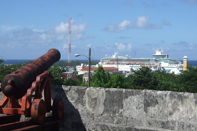 Nassau Family Friendly City Tour - Fort Fincastle and the view from Bennett’s Hill