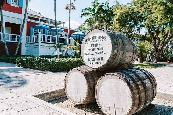 Nassau Family Friendly City Tour - The guides can shape the whole experience
