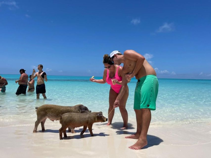 Nassau: Half-Day Guided Cay Cruise, Sea Life Watch & Snorkel - Who should book this Nassau excursion?