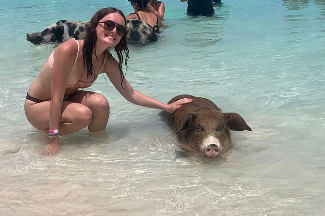 Nassau: Half Day Reef Snorkeling, Turtles & Swimming Pigs - Key points at a glance