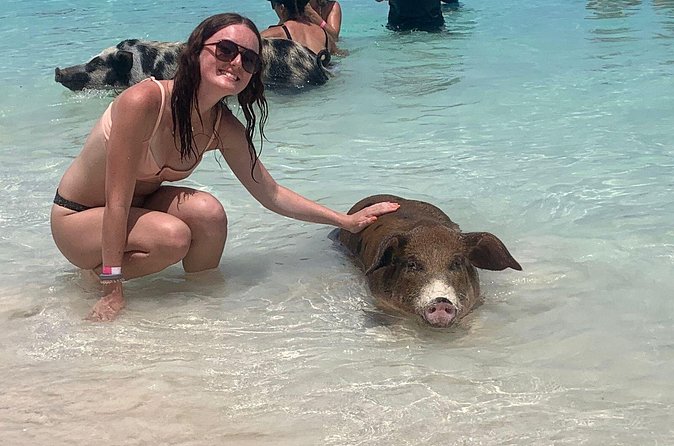 Nassau: Half Day Reef Snorkeling, Turtles & Swimming Pigs - Meeting at Margaritaville on Paradise Island